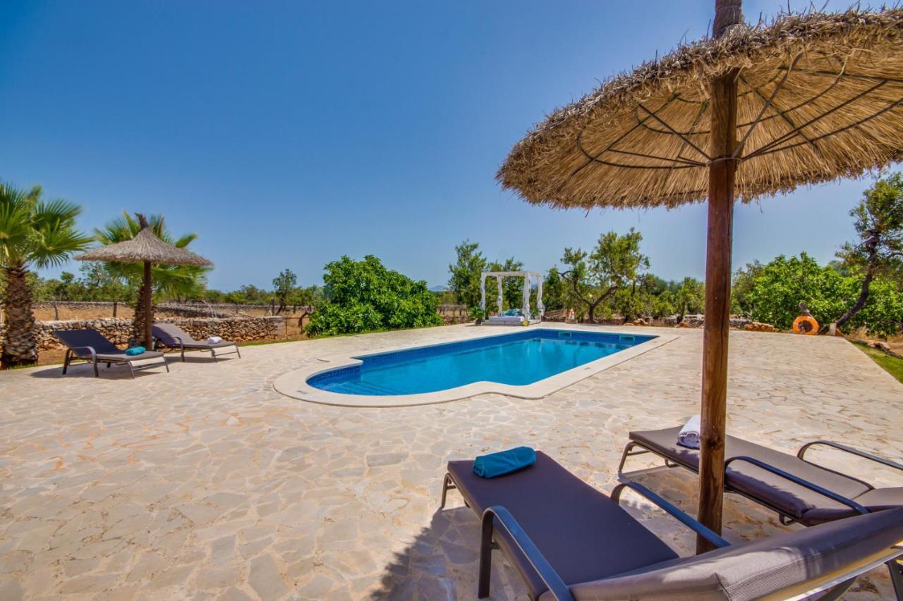 Ideal Mallorca - Frit